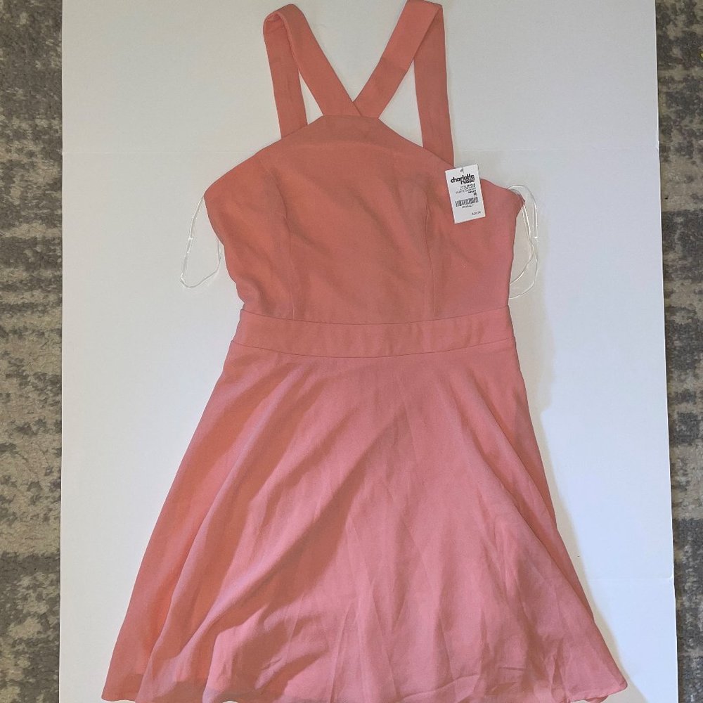 NWT Charlotte Russe Chiffon Dress